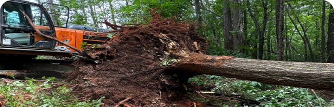 Excavation