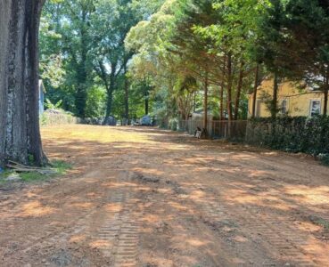 question before land clearing